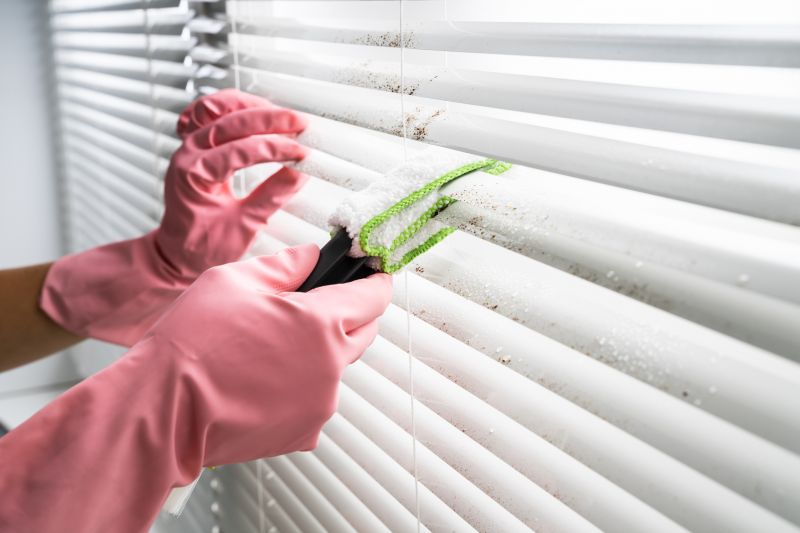 Blinds And Shades Cleaning For Allergy-Friendly Homes