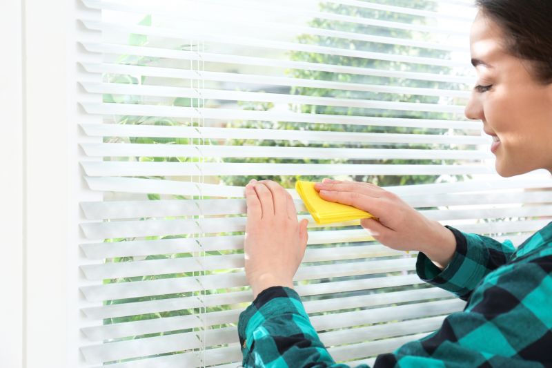 Cellular Blinds Cleaning