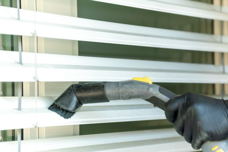 Vertical Blind Cleaning