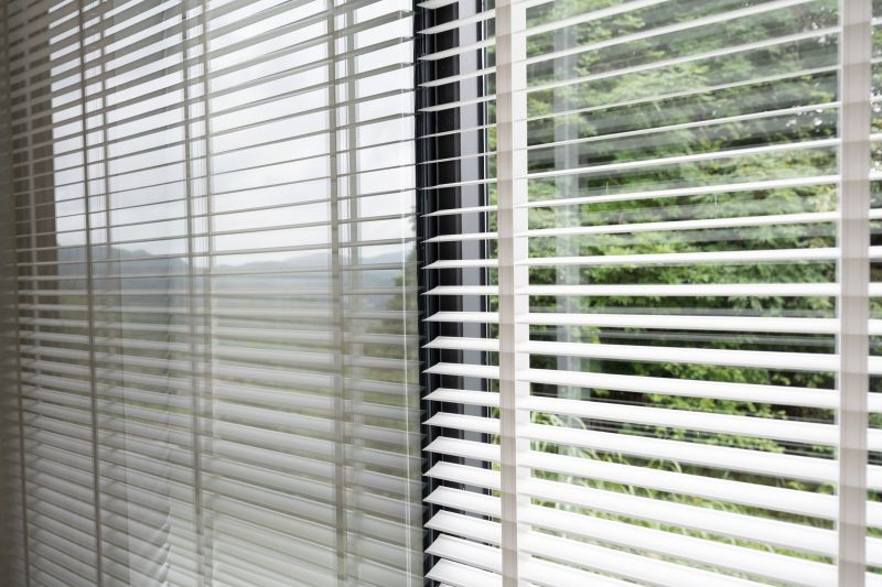 Vertical Blind Cleaning