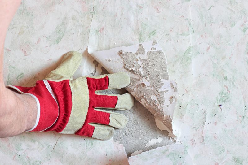 Wallpaper Removal Service in Littleton, CO
