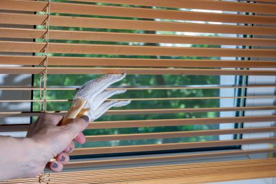 Cellular Blinds Cleaning in Prescott Valley, AZ